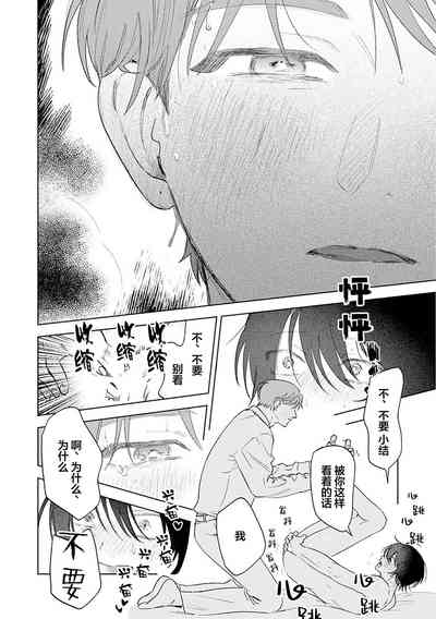 第219頁圖