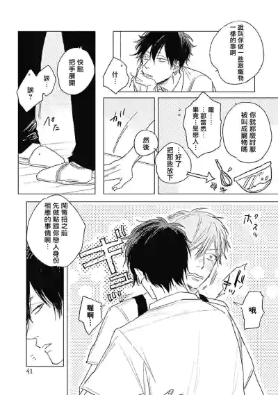 第43页图