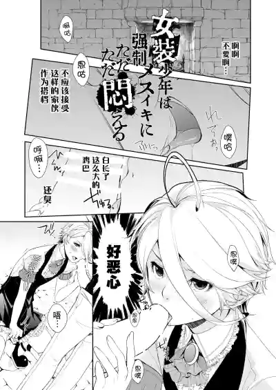 第3页图