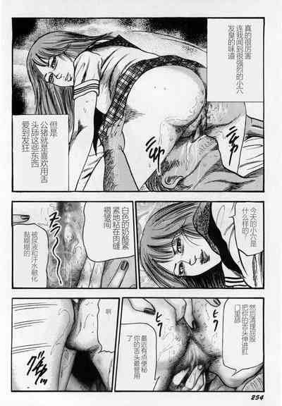 第255頁圖