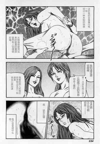 第335頁圖