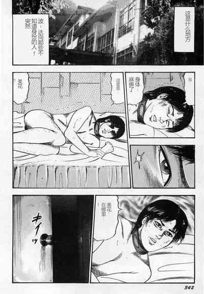 第343頁圖
