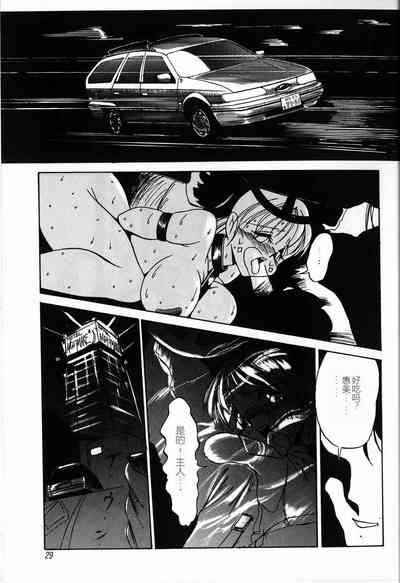 第31頁圖