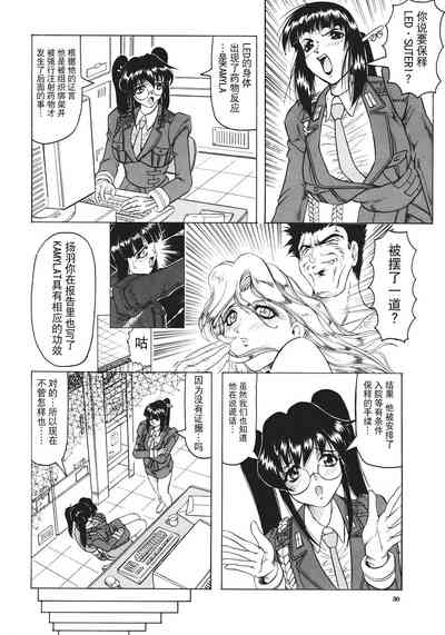 第31頁圖