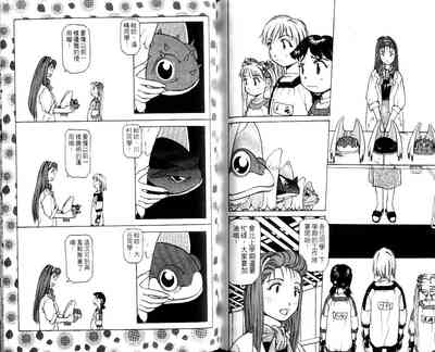 第95頁圖