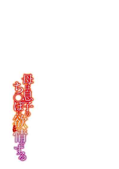 第255页图