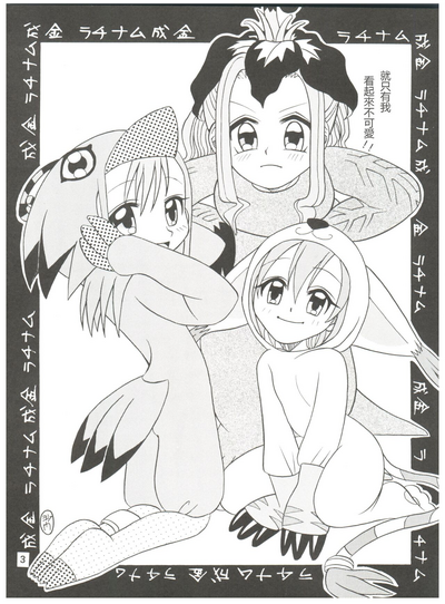 第3頁圖