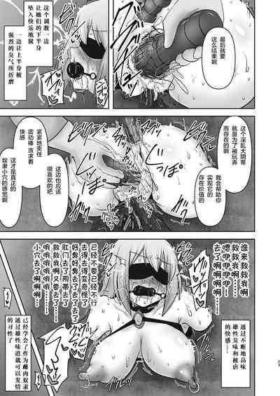 第427頁圖