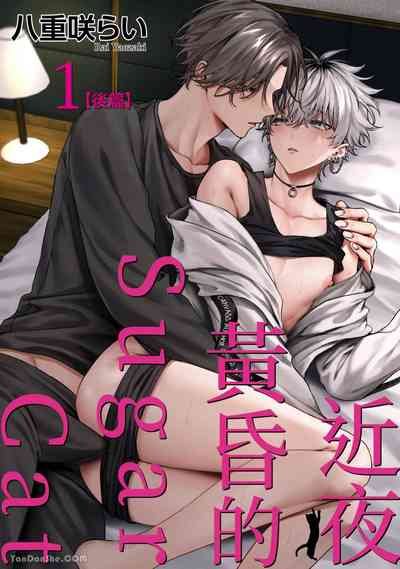 第31頁圖