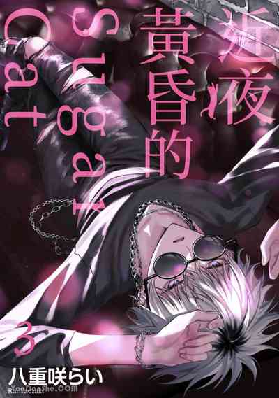 第91頁圖