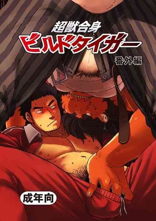 超獣合身ビルドタイガー 番外篇图