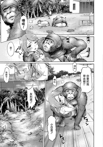 第11頁圖
