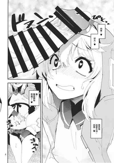第3页图