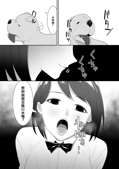 第11页图