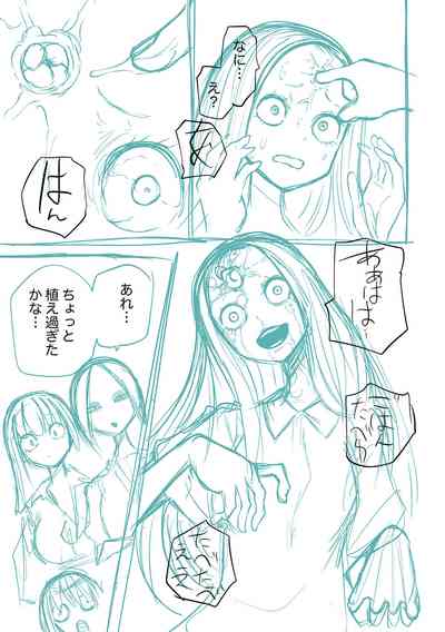 第259頁圖