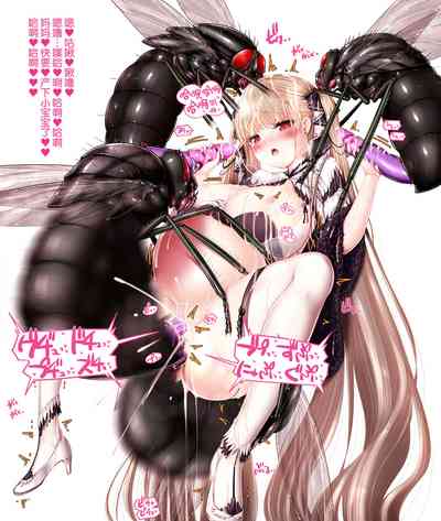 第95頁圖