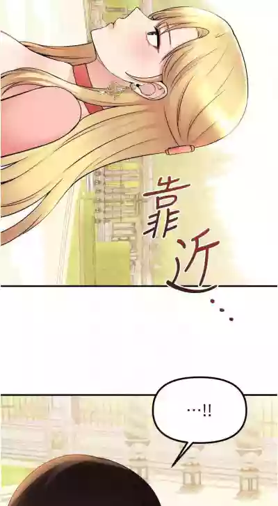 第315頁圖