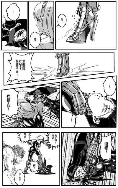 第219頁圖
