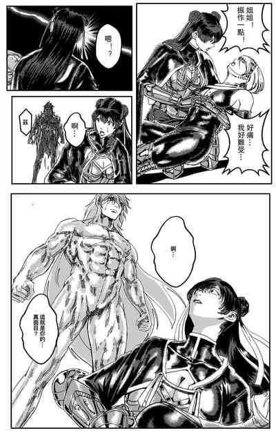 第223頁圖