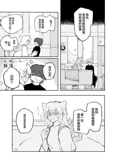 第11页图