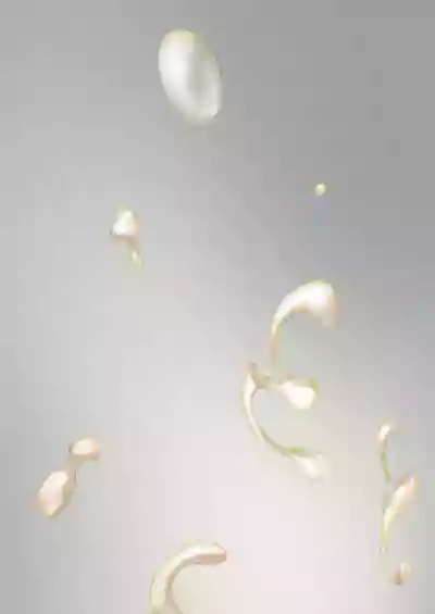 第79頁圖