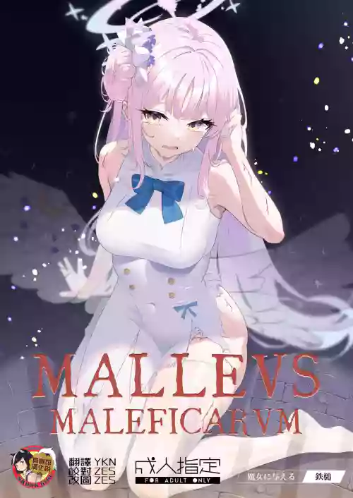 Malleus Maleficarum 封面 - HaSM.cc