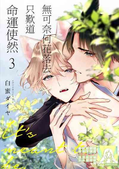 第51頁圖