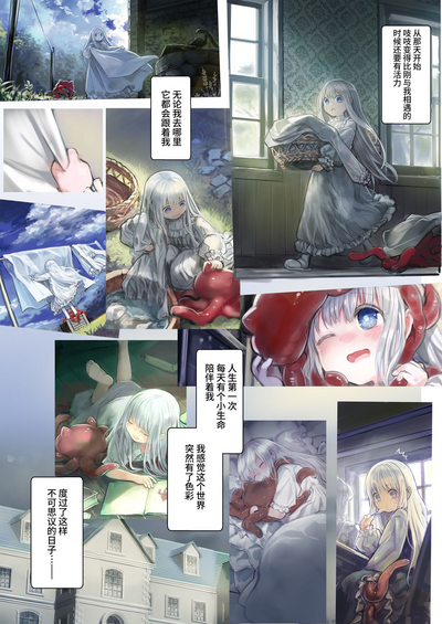 第43頁圖