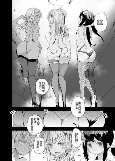 第3页图