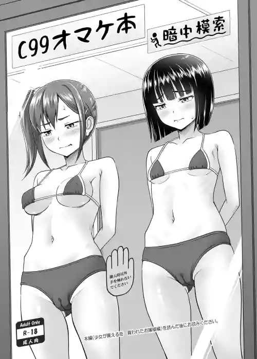 C99 オマケ本图