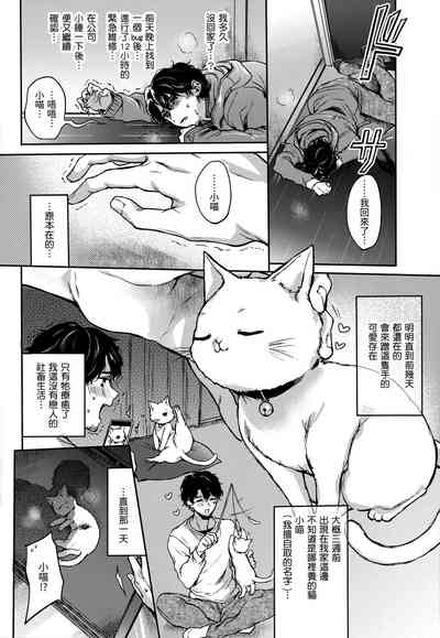 第55頁圖