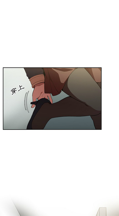 第295页图