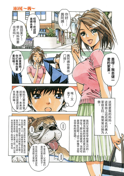 第3頁圖