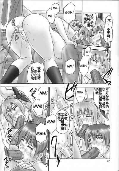 第27页图