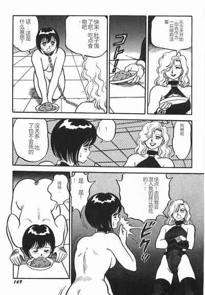 第175頁圖