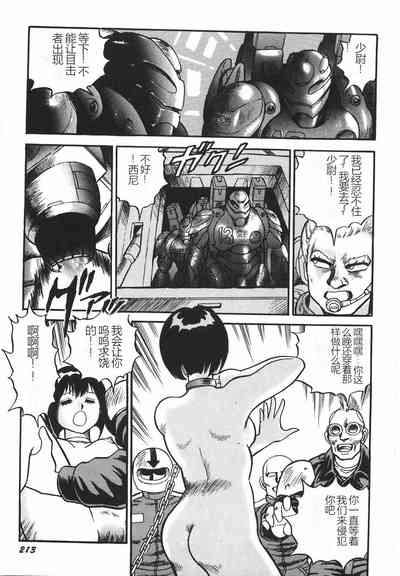 第219頁圖