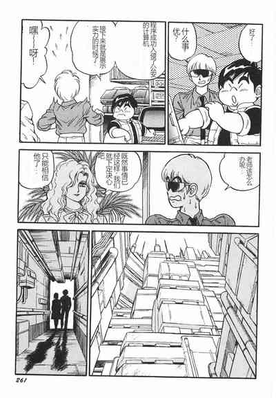 第267頁圖