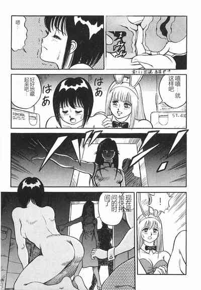 第291頁圖