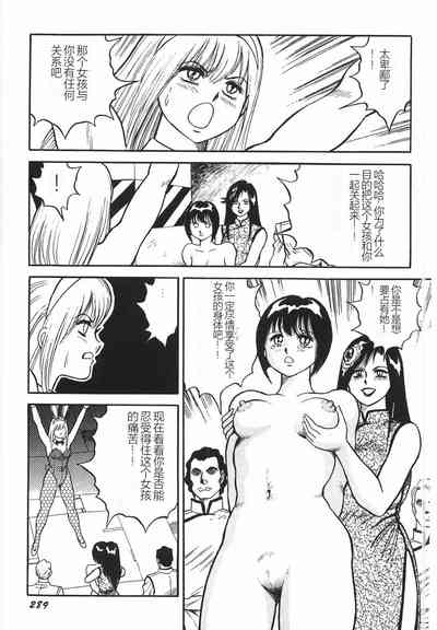 第295頁圖
