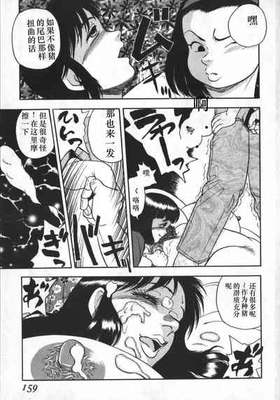 第155頁圖