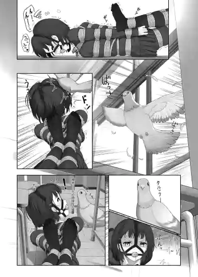 第15頁圖