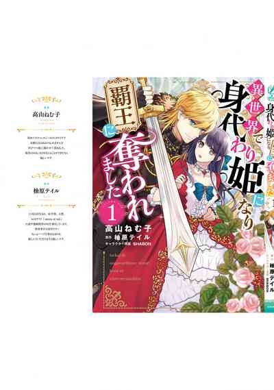 第215頁圖