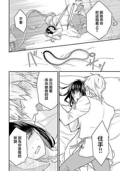第99頁圖