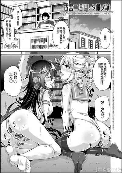 第171頁圖
