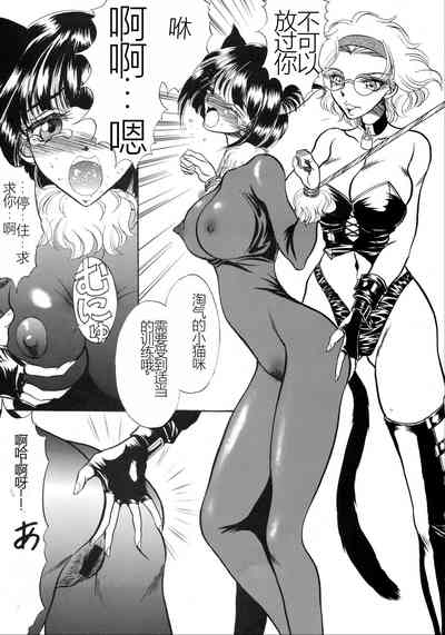 第55頁圖