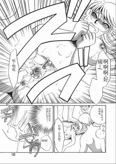 第103頁圖