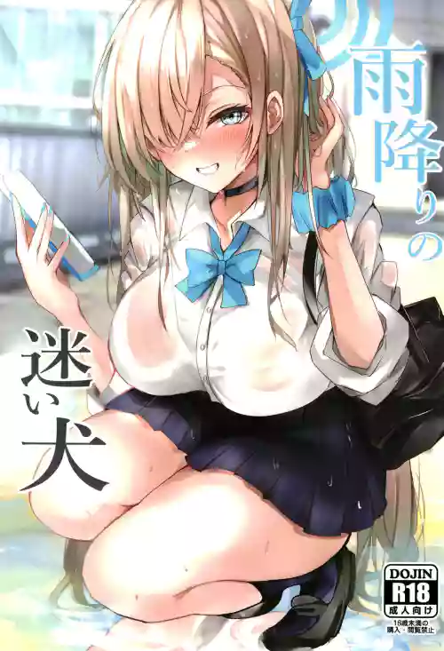 雨降りの迷い犬图