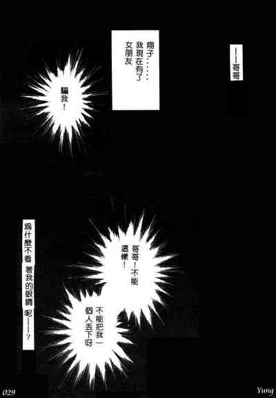 第31頁圖