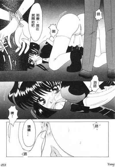 第55頁圖