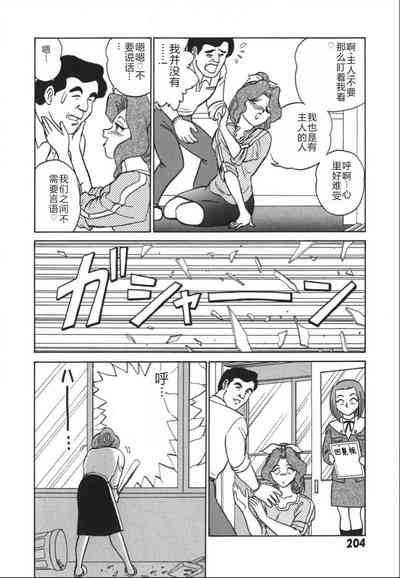第211頁圖